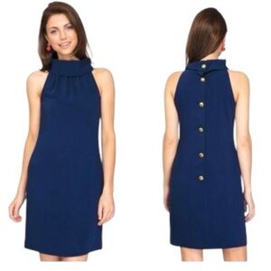 Tuckernuck Blue Sleeveless Dress
